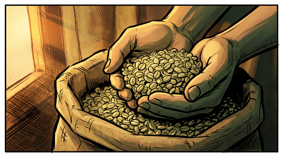 Two hands lifting pale green unroasted coffee beans out of an open hessian sack